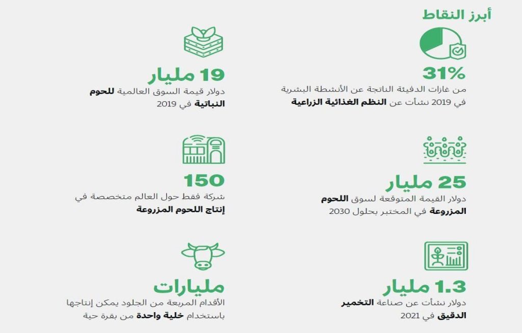 العالم سيكون بحاجة إلى 374 مليون طن من اللحوم بحلول 2030