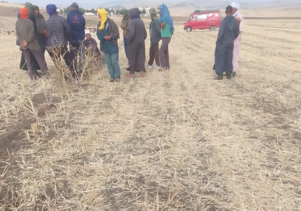 مصرع طفلة دهسا نواحي تاونات يثير استنكارا وسط عائلات رحل تنغير