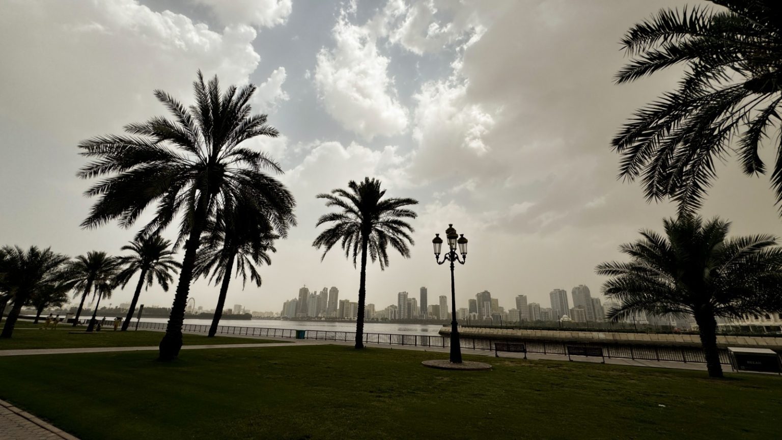 الحالة الجوية تشهد ذروتها غداً.. و”الأرصاد” يُوضّح ماذا سيحدث..؟