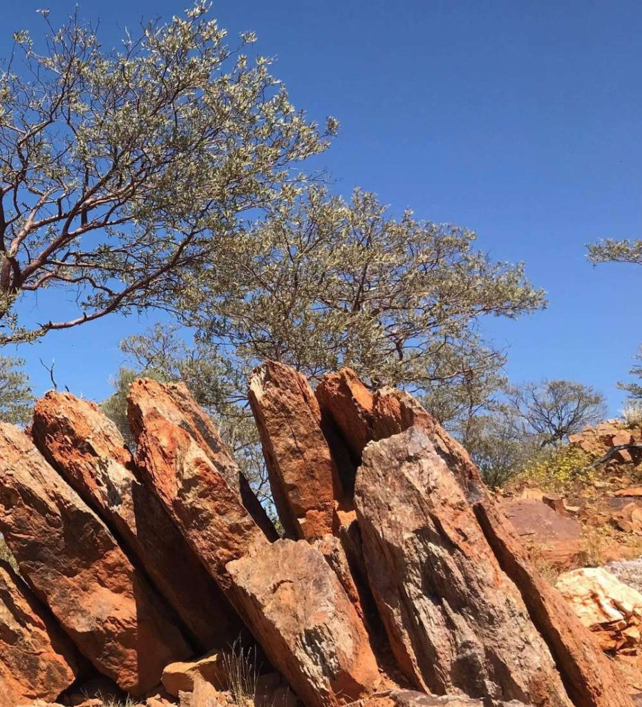 باحثون من جامعة خليفة يكتشفون أقدم يابسة ومياه عذبة على كوكب الأرض 