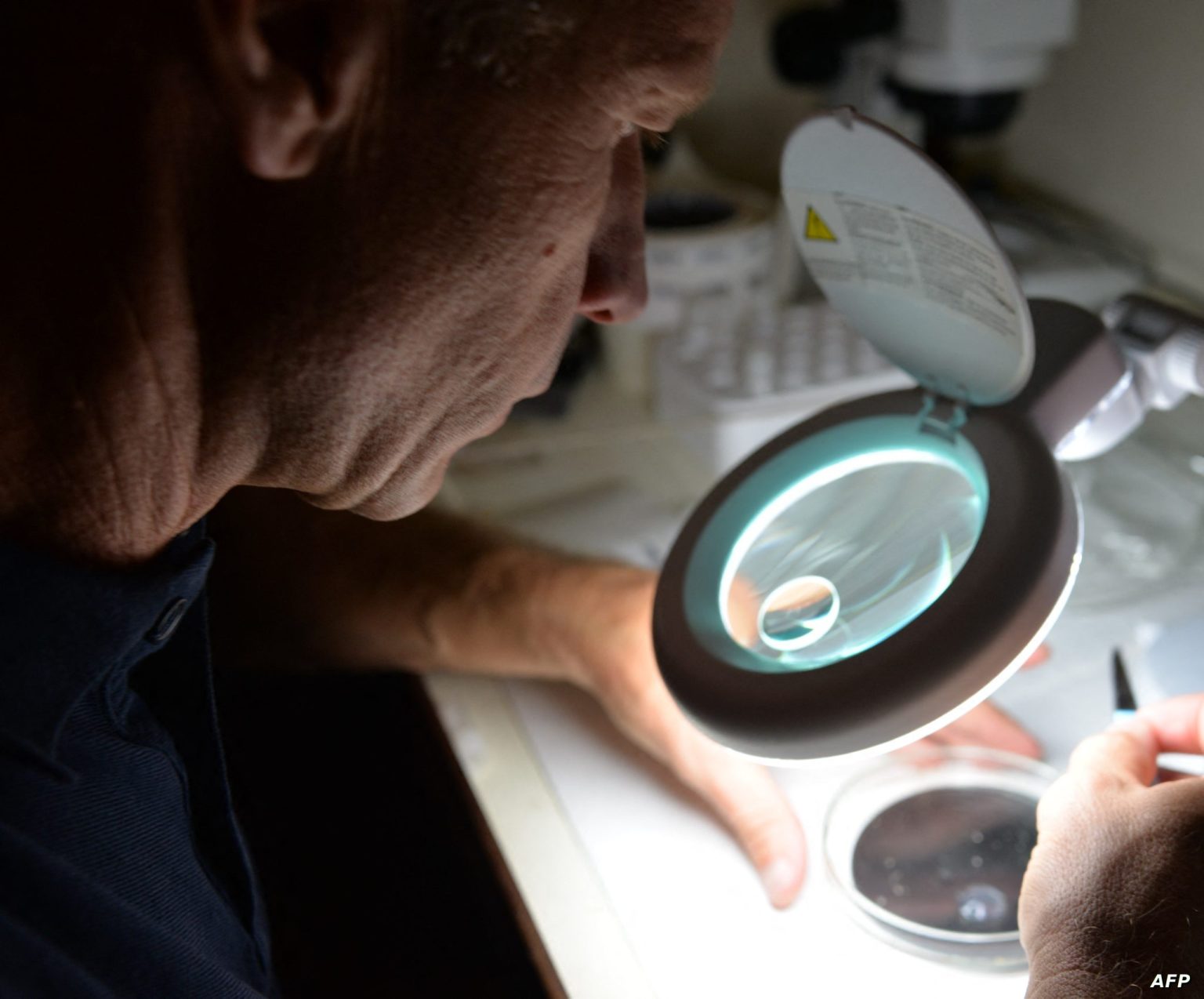 سابقة.. اكتشاف جسيمات بلاستيكية في أنسجة قضيب بشري