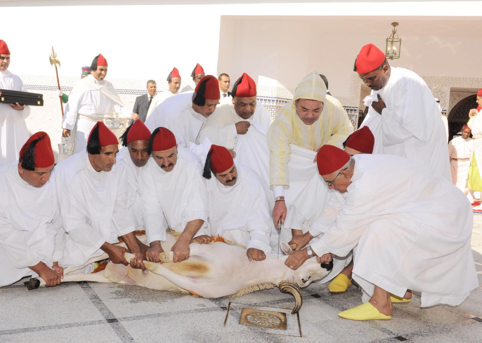 الملك محمد السادس يؤدي صلاة العيد بتطوان وينحر الأضحية