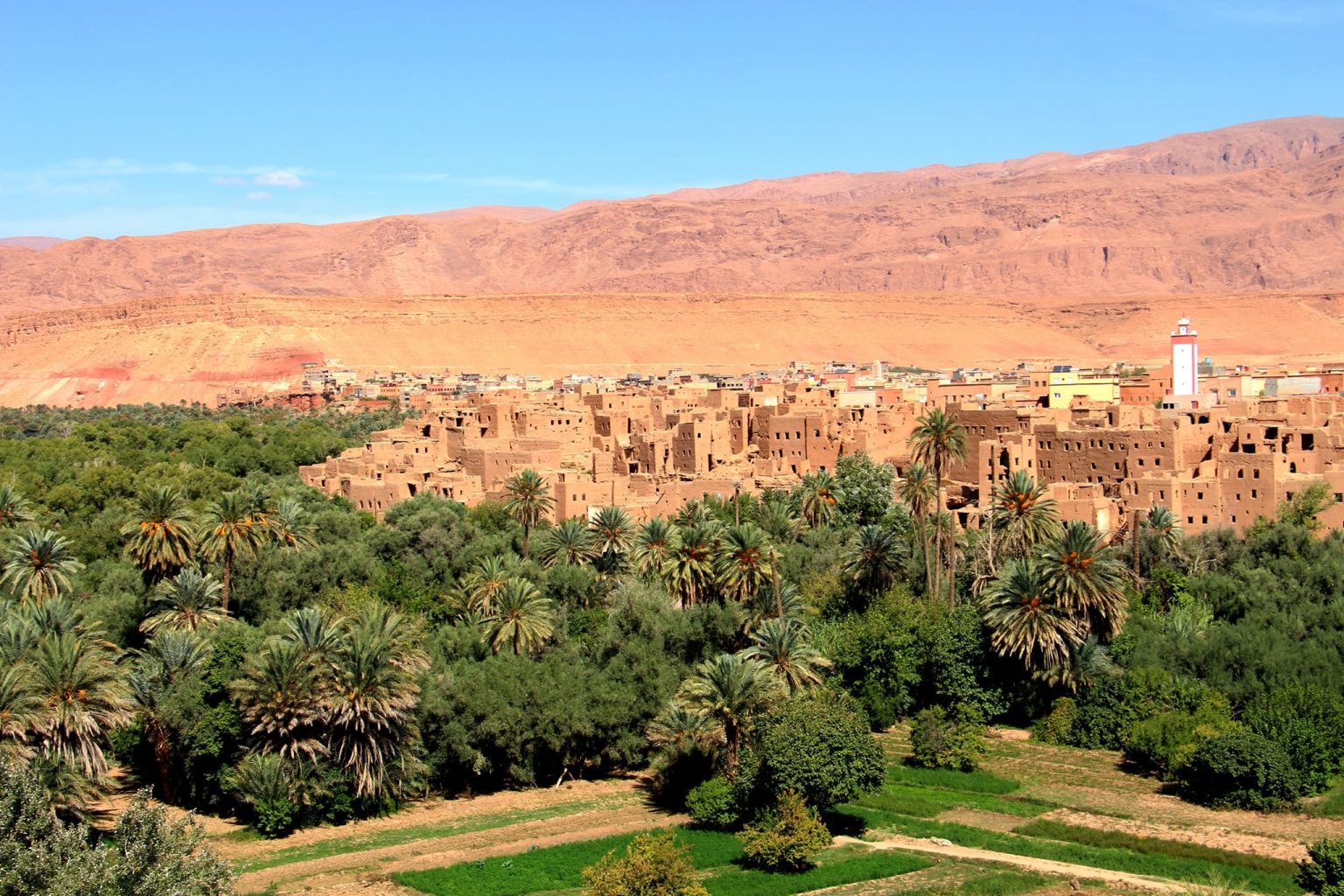 بعضها يبدأ قبل العيد.. عادات تميز “العيد الكبير” بتنغير