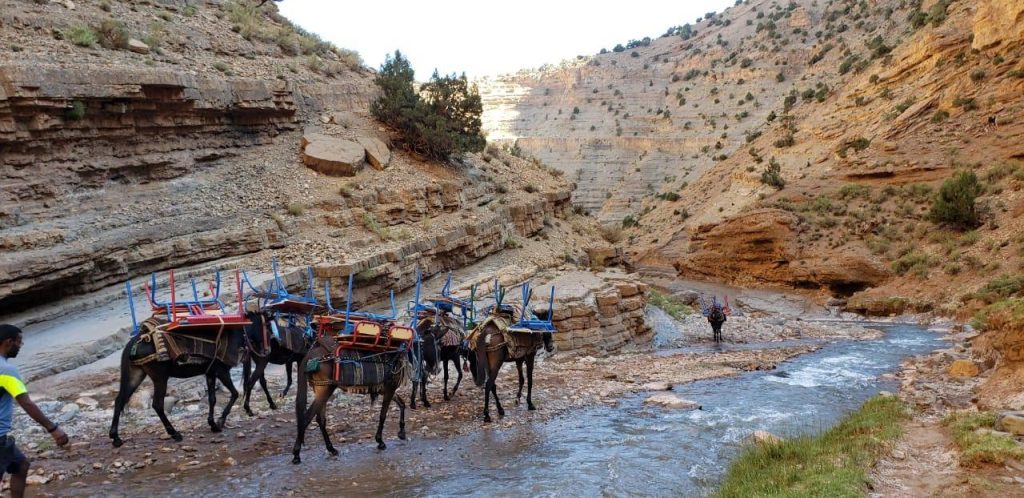 تركيز معظم المشاريع التنموية بالحواضر الكبرى سيُنتج شرخا مجاليا