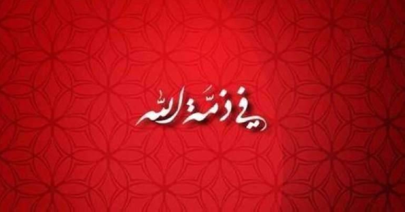 وفيات الاثنين 12 أغسطس 2024