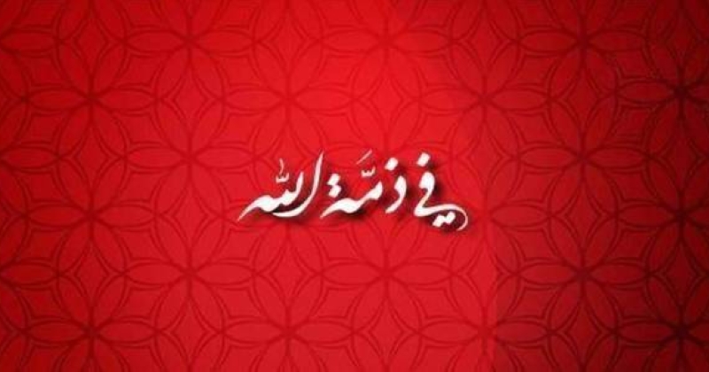 وفيات السبت 31 أغسطس 2024