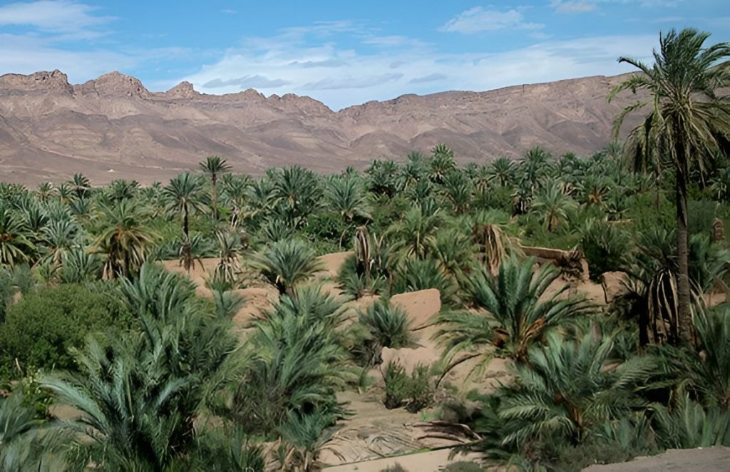 ضربة موجعة للمناطق الفقيرة