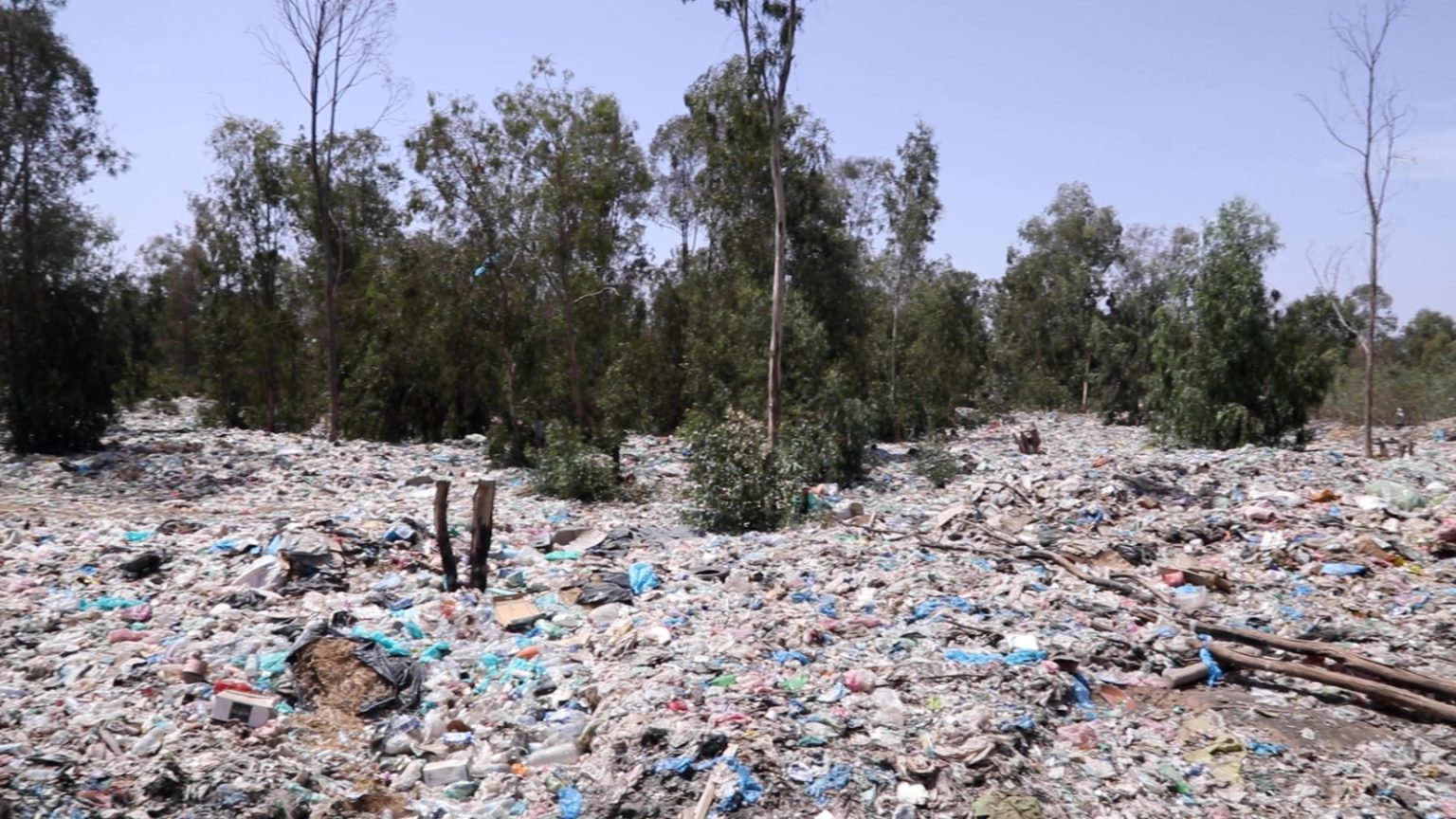 يلتهم غابة القريعات بتيفلت.. مطرح أزبال يخنق جيرانه ويجثم على أرض سلالية (الفيديو)