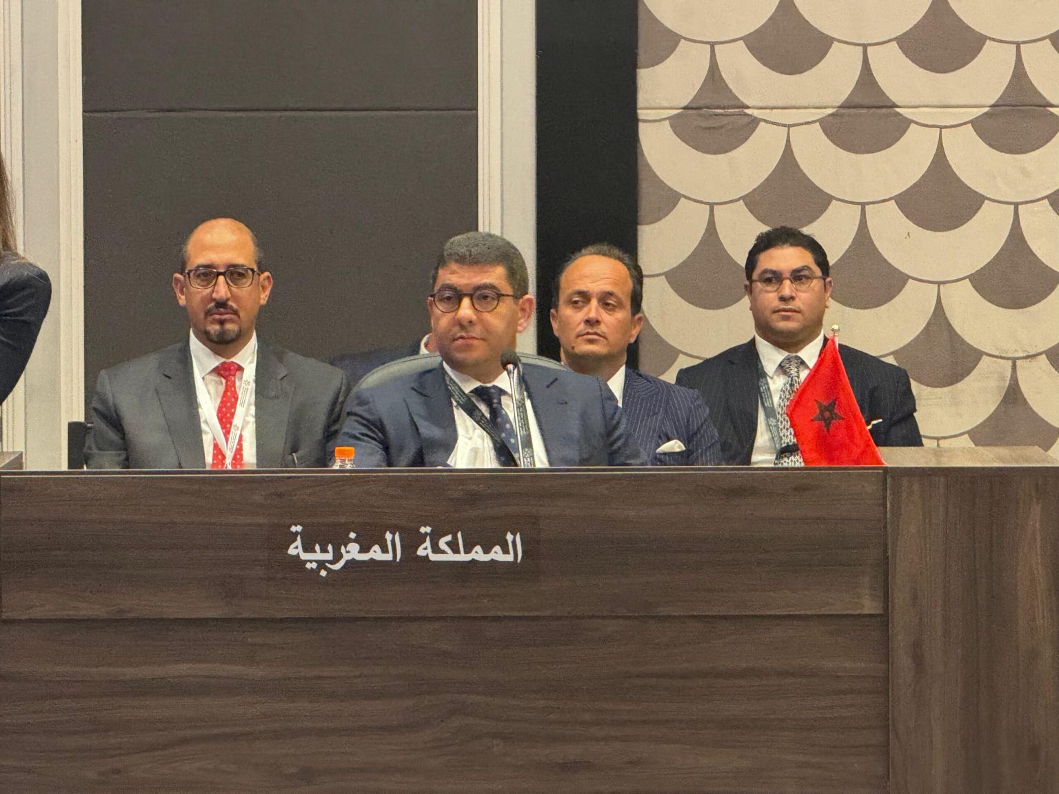 وضع المنطقة العربية يتطلب إبعاد الشباب عن مخاطر الإرهاب والانفصال