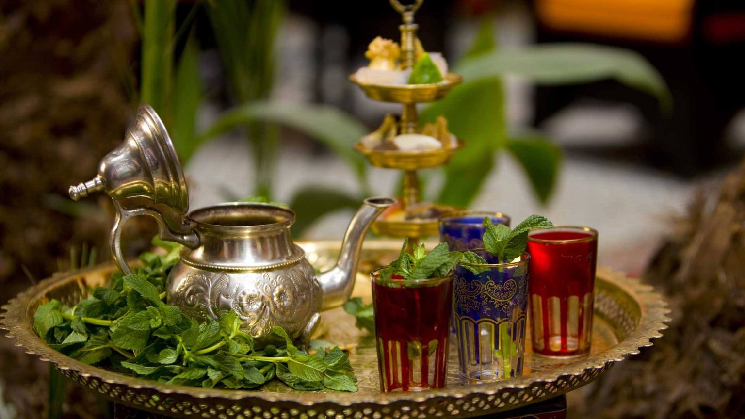 بما يفوق 120 مليون دولار.. المغرب أكبر مستورد للشاي الصيني بالعالم خلال 2024