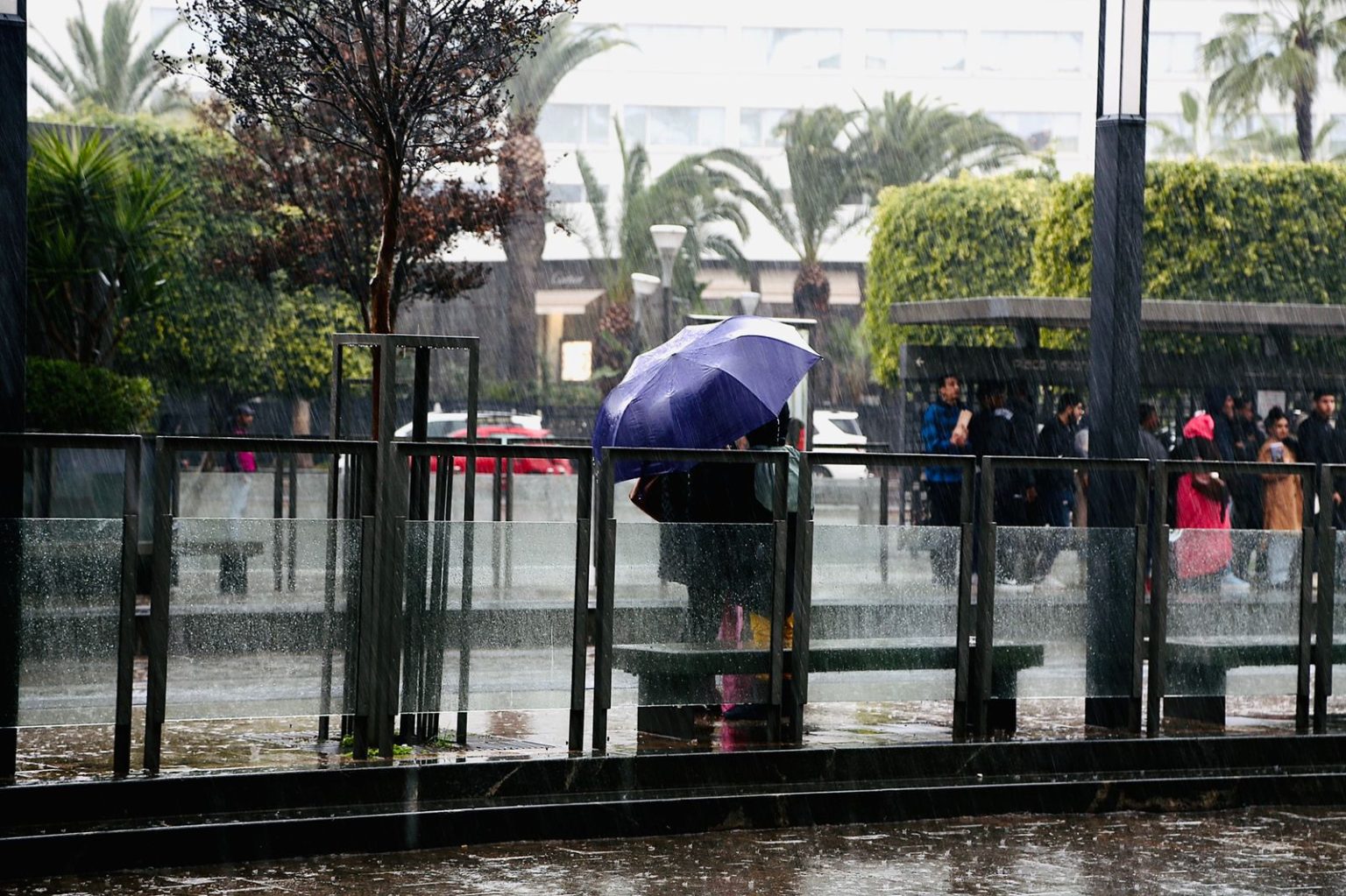 نشرة إنذارية.. تساقطات مطرية رعدية جد قوية مع حبات البرد في هذه المناطق