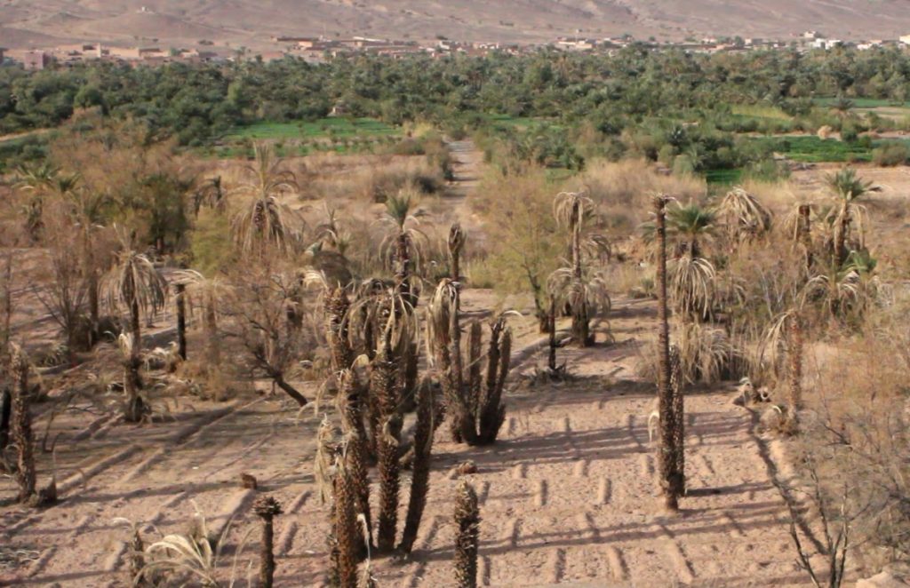 الظواهر القصوى للمناخ.. 2023 السنة الأعلى حراراة والأطول جفافا في تاريخ المغرب