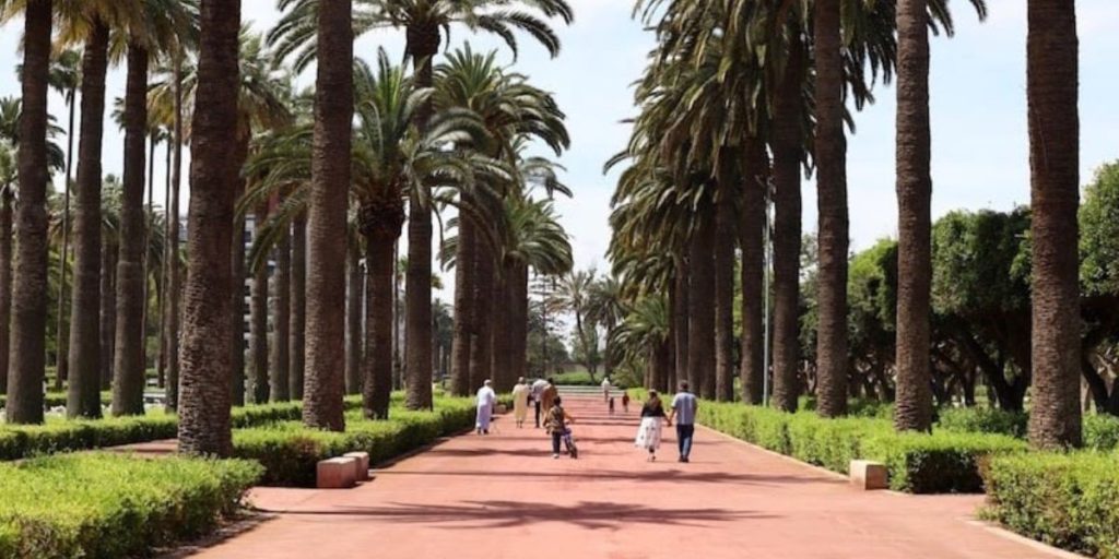 بعدما تحولت شوارعها لواحات.. هل ينجح والي البيضاء في وقف تنخيل العاصمة الاقتصادية؟