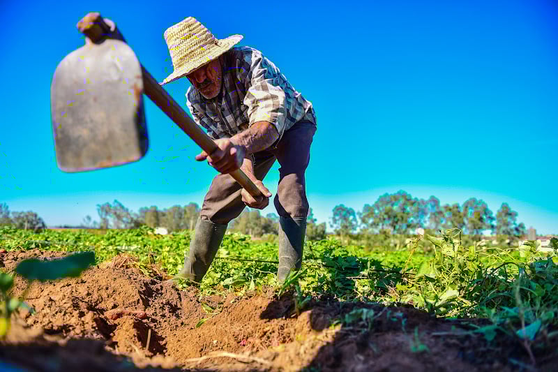 التساقطات المطرية تحفز الفلاحين على بدء الموسم الزراعي الجديد بالمغرب