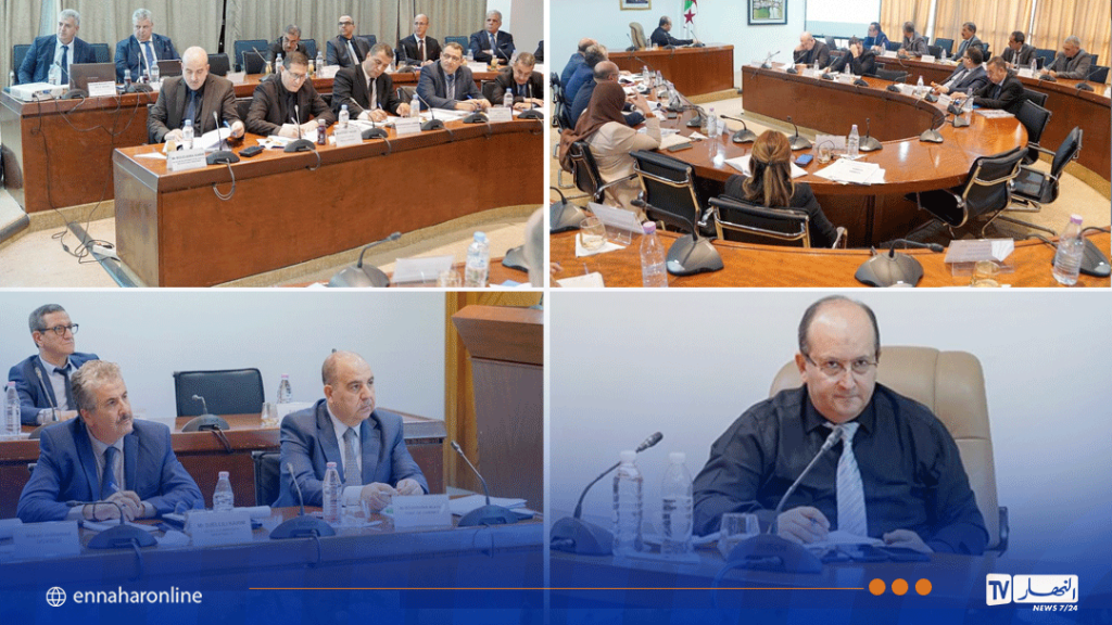 أمر بتجسيد شراكات استراتيجية.. وزير الصناعة يجتمع بمسؤولي 3 مجمعات صناعية عمومية