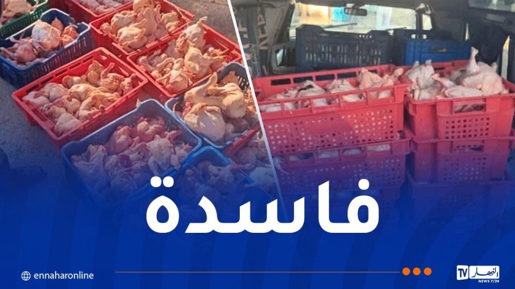 حجز وإتلاف 3 قناطير من الدجاج الفاسد