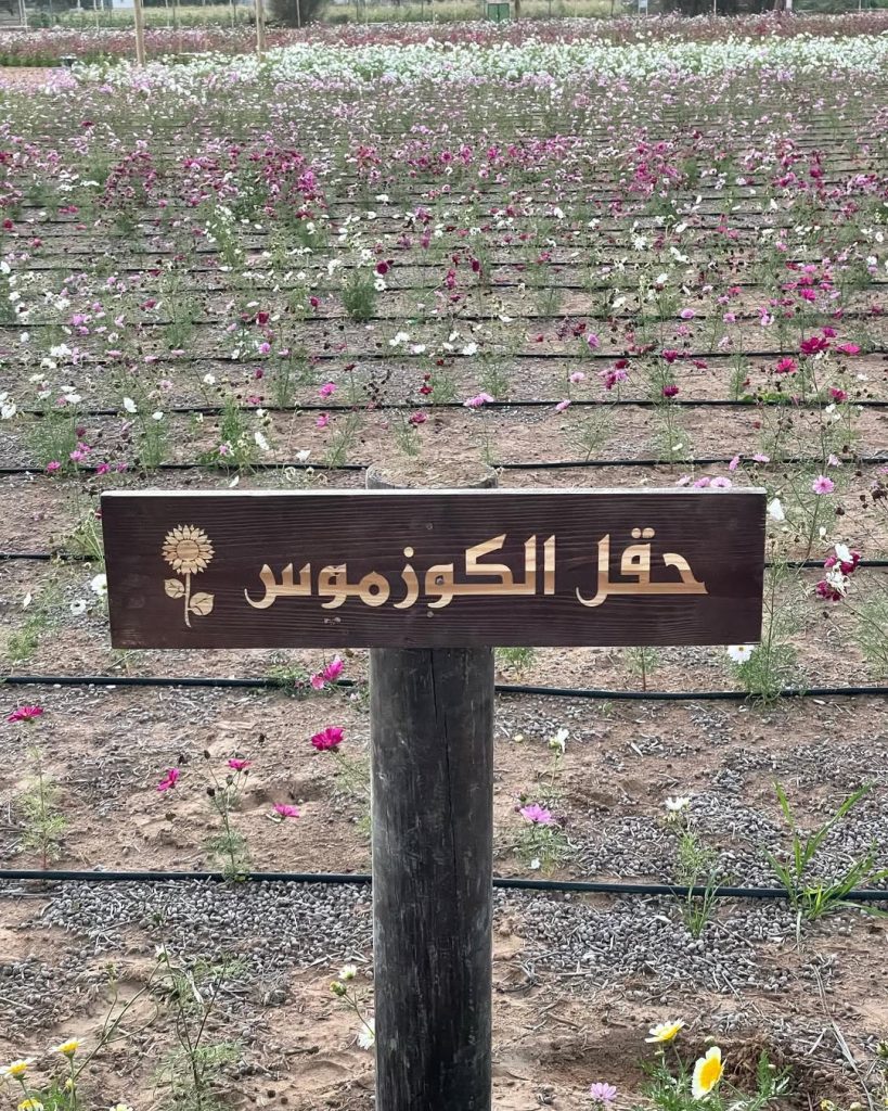 “المواطن محمد الحوسني.. مزارع يتميز بـ”أفضل مزرعة عضوية