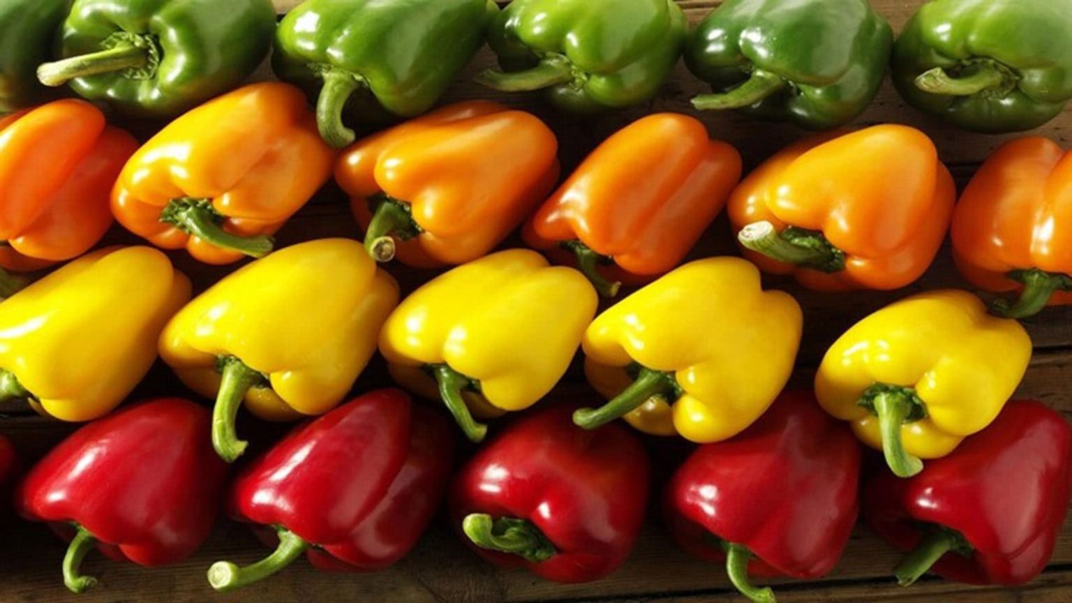 صادرات المغرب من الفلفل للسوق الإسبانية تناهز 100 مليار سنتيم