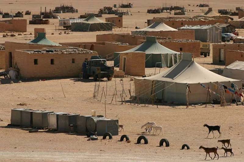 باحث أمريكي يرصد زيف شرعية البوليساريو في تمثيل ساكنة الصحراء