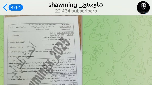 شاومينج ينشر امتحان التربية الفنية بعد توزيعه بلجان الإعدادية بالشرقية