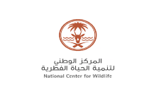 منتزه البيضاء بالمدينة المنورة