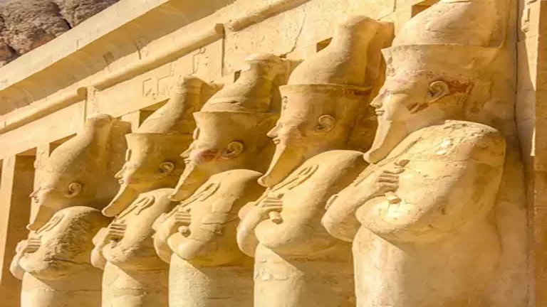 صورة 14
