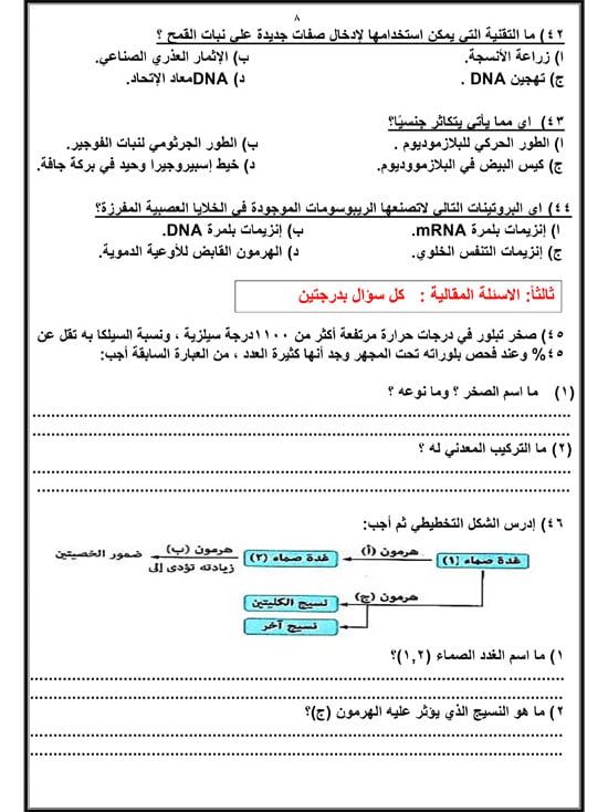 72025916658614-مراجعة-نهائية-اليوم-السابع-2025-8 72025916658614-مراجعة-نهائية-اليوم-السابع-2025-8