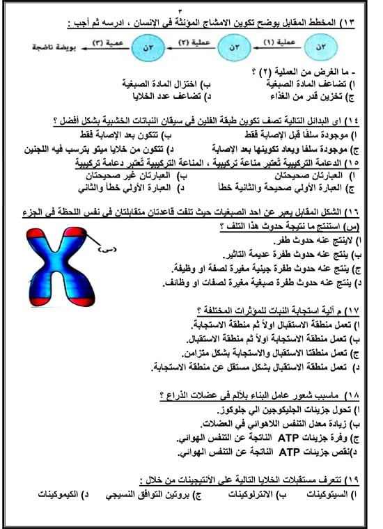 72025916658614-مراجعة-نهائية-اليوم-السابع-2025-3 72025916658614-مراجعة-نهائية-اليوم-السابع-2025-3