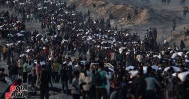 نكبة القرن.. 700 يوم على إبادة غزة.. سيرة عصابة صارت بلدا.. سفاحون صغار وأوهام كبرى