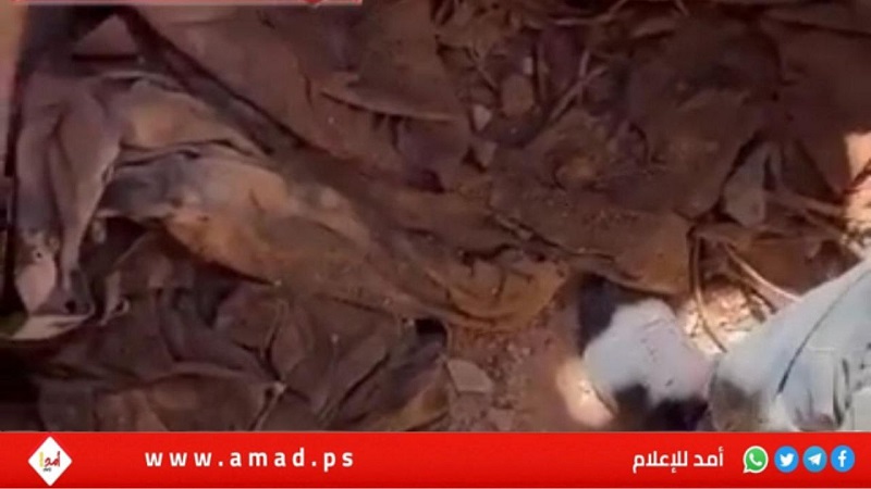 جيش الاحتلال يسمح لعناصر من حماس البحث عن جثامين الرهائن في قطاع غزة