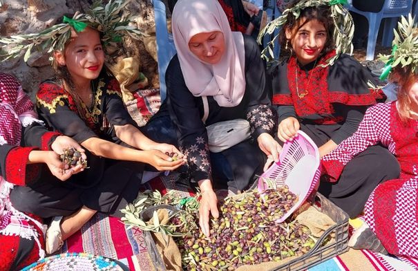 موسم قطاف الزيتون في عجلون يعزز دخل الأسر و التراث…