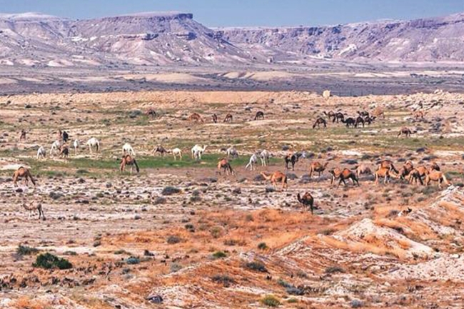 تشغيل «جيوبارك» شمال جون الكويت يناير المقبل
