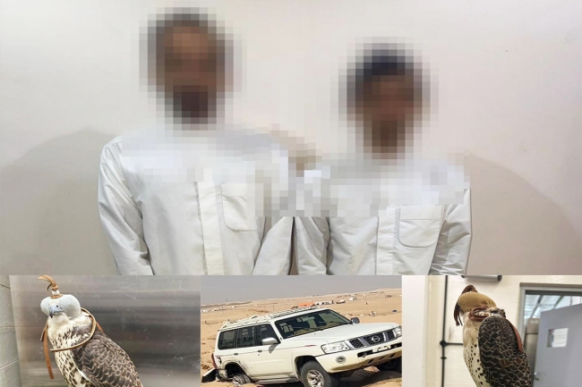 «الداخلية»: ضبط شخصين دخلا محمية صباح الأحمد الطبيعية دون تصريح