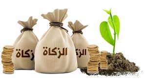 كيفية دفع الزكاة على العقارات المؤجَّرة.. أمين الإفتاء يوضح
