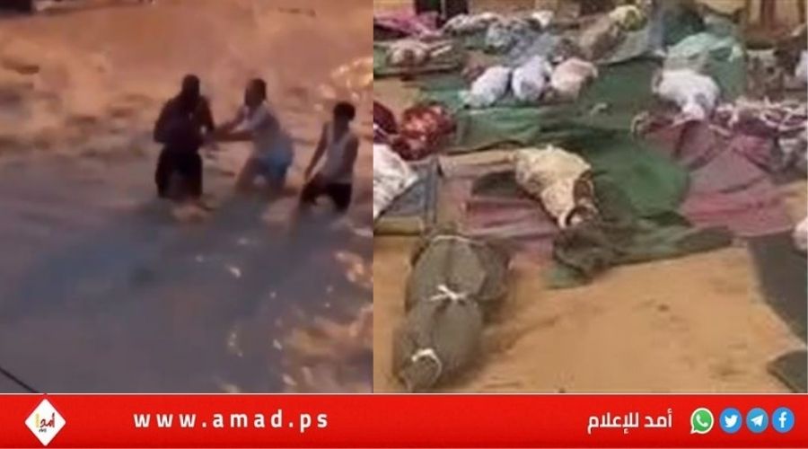 مجلس الأمن يندد بهجوم قوات الدعم السريع على الفاشر