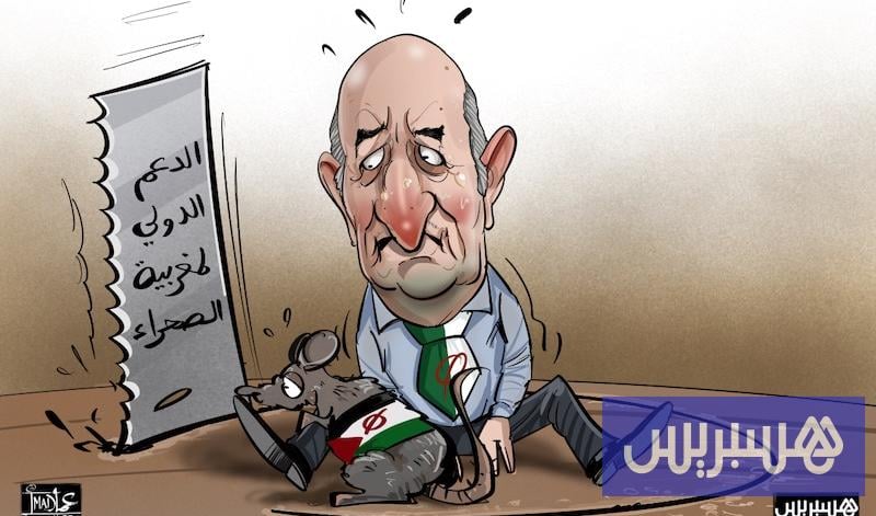 الجزائر تفشل في تعديل مشروع قرار مجلس الأمن حول الصحراء المغربية