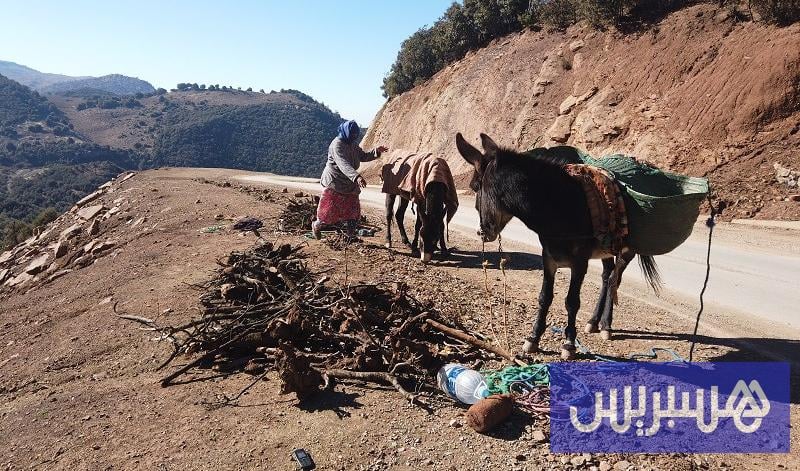 نداءات تسبق قساوة البرد في الجبال