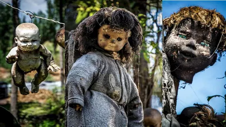 20 صور صادمة.. أكثر 6 جزر مرعبة ومخيفة في العالم