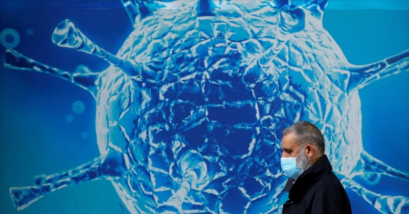 فيروس جديد في الخفافيش.. هل العالم أمام جائحة مقبلة؟!