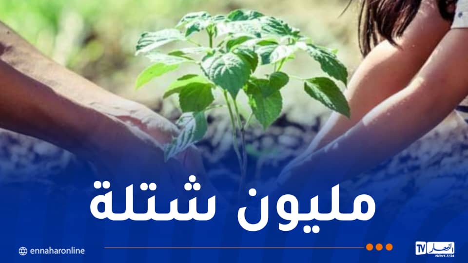 انطلاق أكبر حملة وطنية للتشجير اليوم