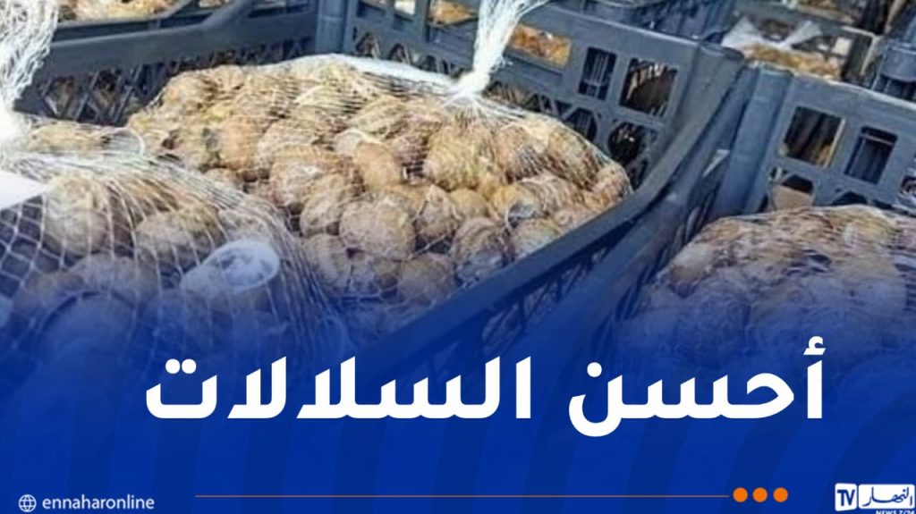 تصدير أول شحنة من الحلزون نحو إيطاليا