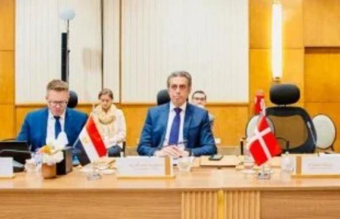 مصر تشارك في الاجتماع التنسيقي للتحالف العالمي لتنفيذ حل الدولتين