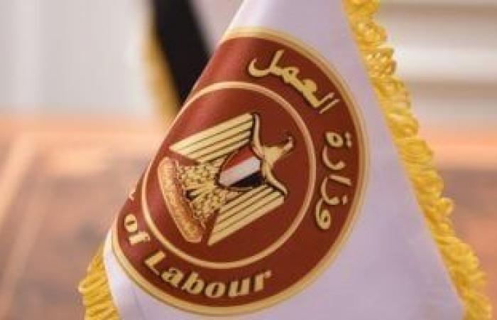 السبت إجازة مدفوعة احتفالا بافتتاح المتحف المصري الكبير.. اعرف التفاصيل