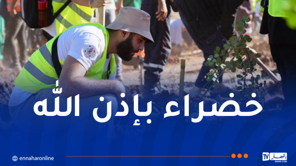 سوناطراك تنخرط في الحملة الوطنية لغرس مليون شجرة