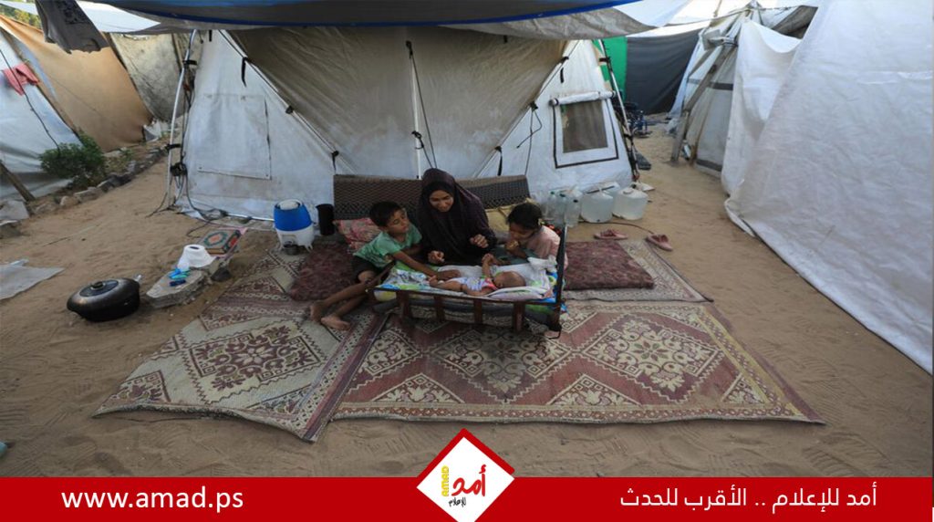 مصر تشدد على ضرورة الانتقال إلى المرحلة الثانية من خطة وقف إطلاق النار في غزة