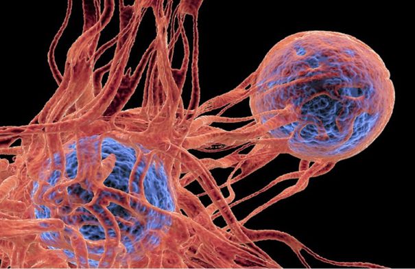 ابتكار دوائي جديد بقدرة استثنائية ضد أنواع متعددة من…