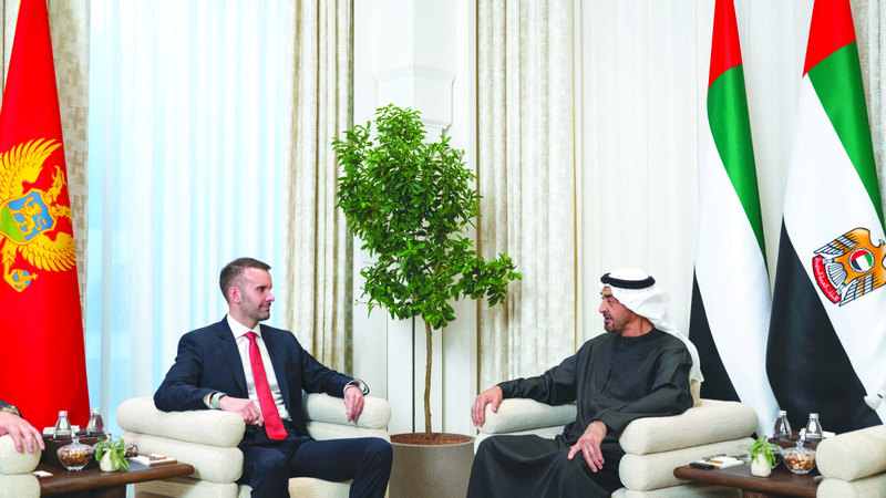 رئيس الدولة ورئيس وزراء مونتينغرو يبحثان علاقات التعاون