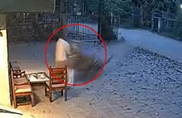 فيديو مروع من الهند.. نمر يهاجم رجلاً أثناء عمله ويسحبه…
