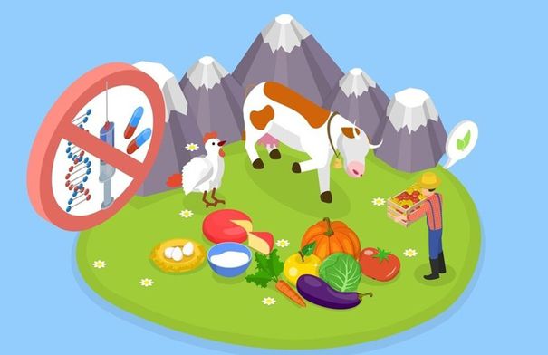 خبيرة روسية تحذّر من خطر المنتجات الحيوانية المحتوية على…