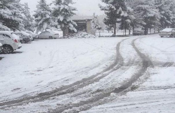 حقيقة تساقط الثلوج خلال المنخفض الجوي القادم إلى المملكة…